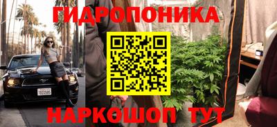 молекула духа Усть-Илимск