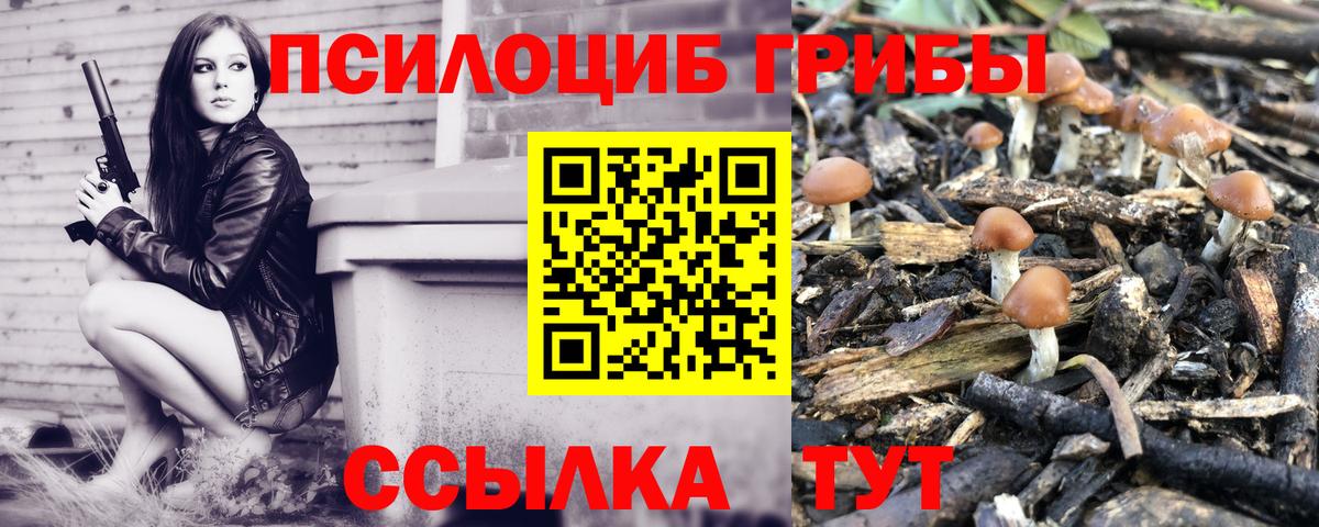 Псилоцибиновые грибы MAGIC MUSHROOMS Можайск